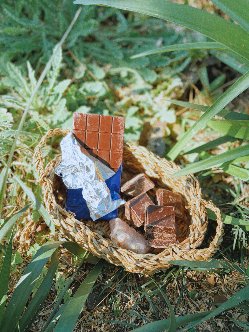 Functional Cacao Bar
